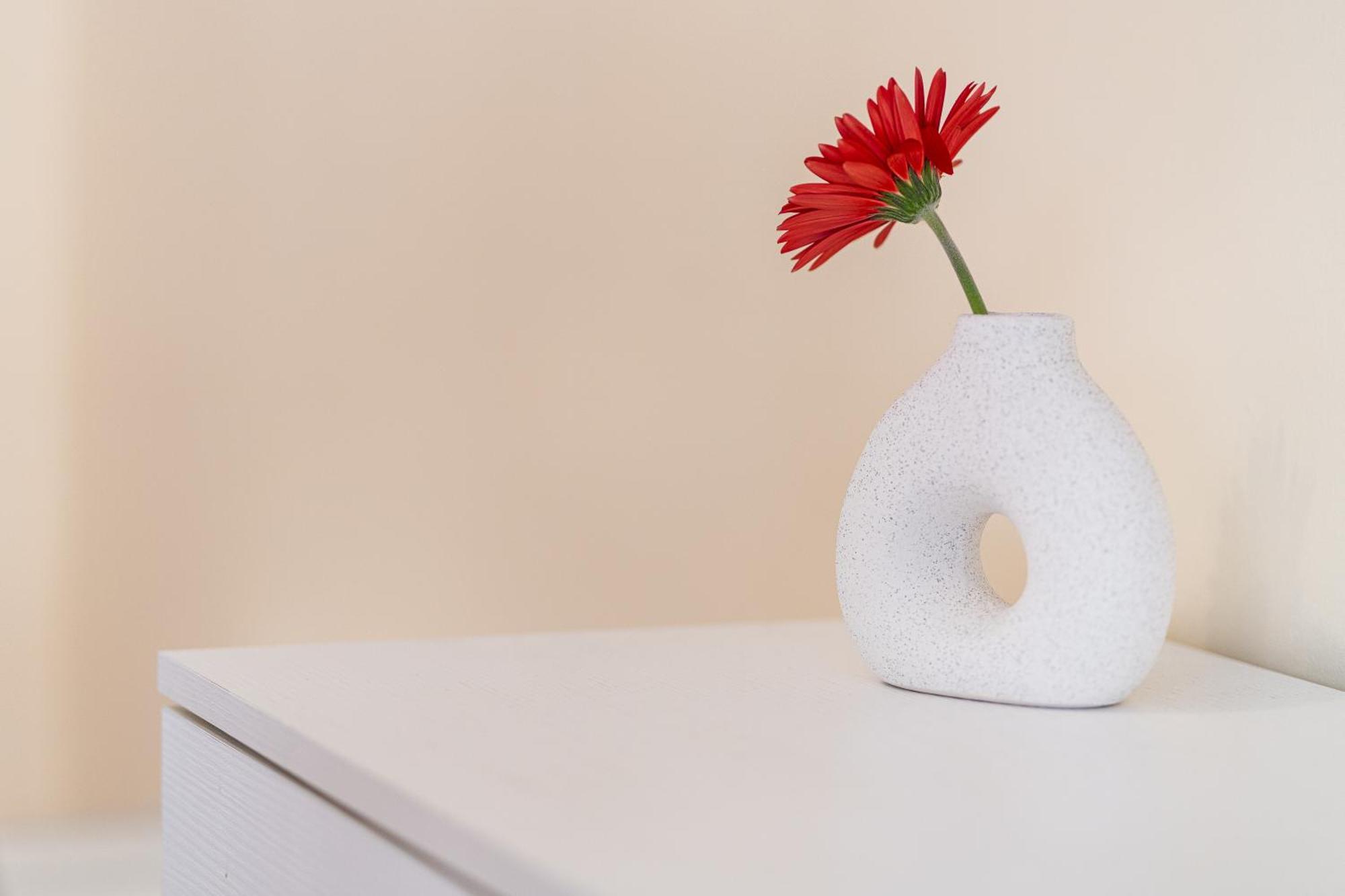 Apartmán Domus Leo Roma Exteriér fotografie