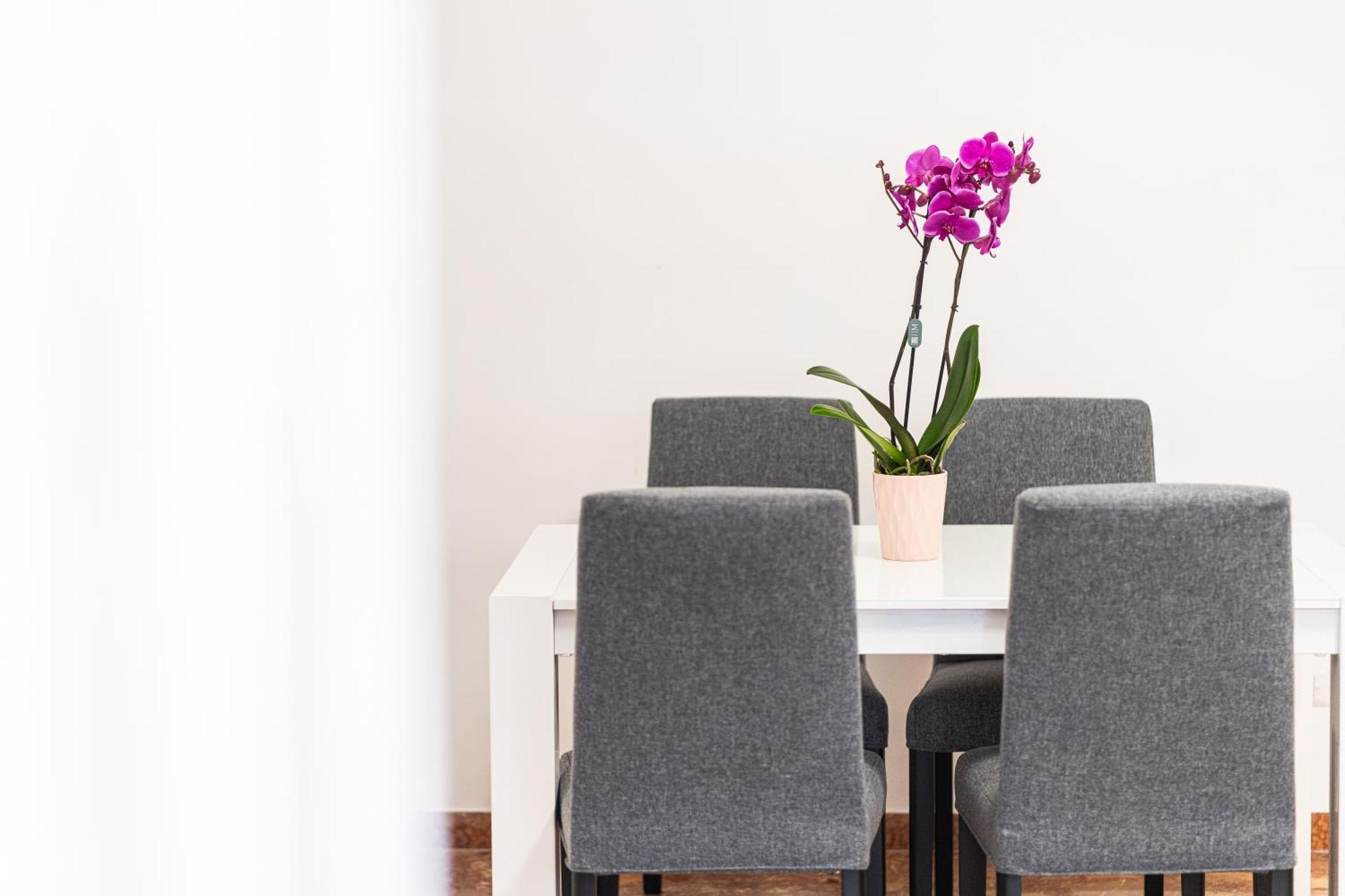 Apartmán Domus Leo Roma Exteriér fotografie